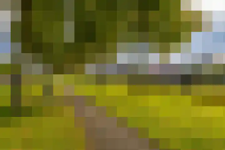 Overburen 2 Zuidbroek thumbnail 60