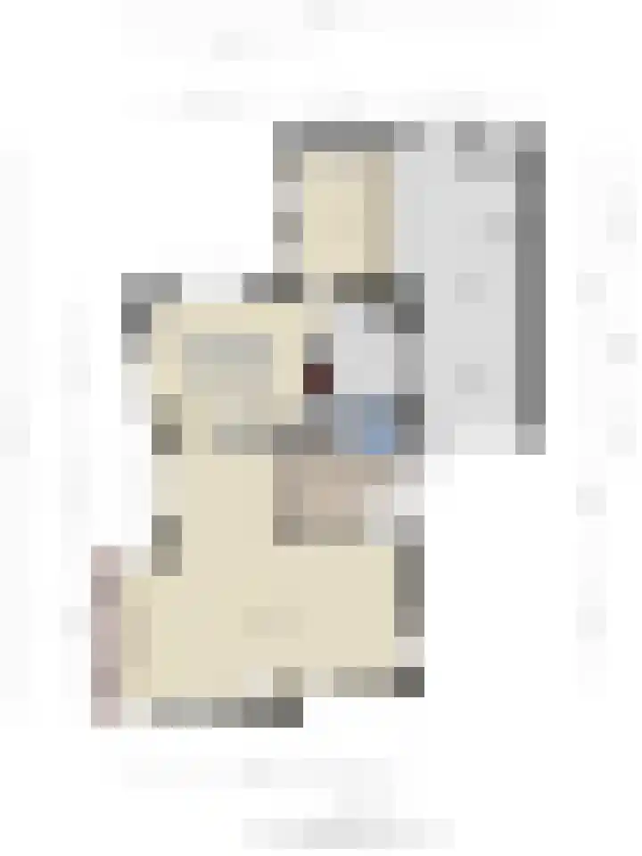 Overburen 2 Zuidbroek thumbnail 64