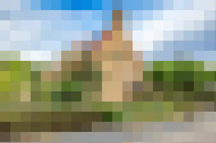 Overburen 2 Zuidbroek thumbnail 8