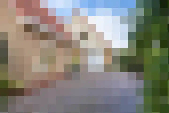 Overburen 2 Zuidbroek thumbnail 9