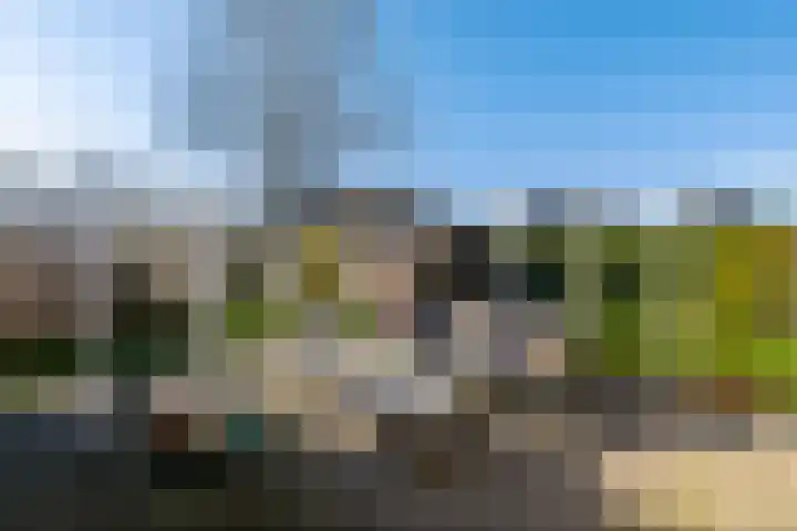 Overburen 6 Zuidbroek thumbnail 17