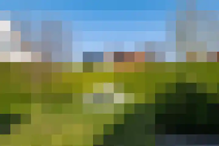 Overburen 6 Zuidbroek thumbnail 30