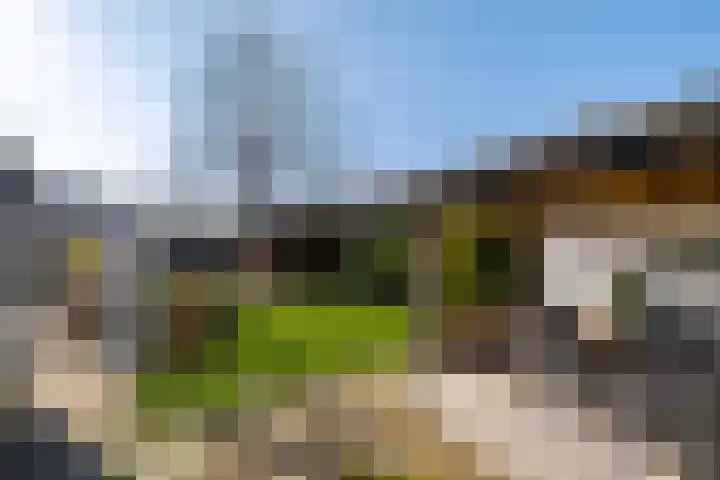 Overburen 6 Zuidbroek thumbnail 31