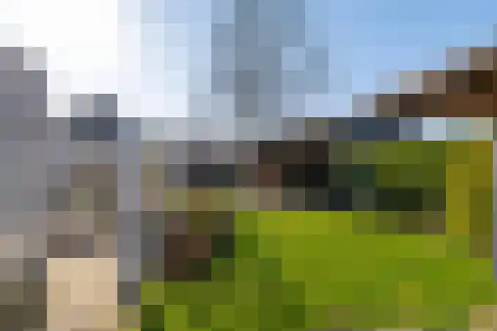 Overburen 6 Zuidbroek thumbnail 33