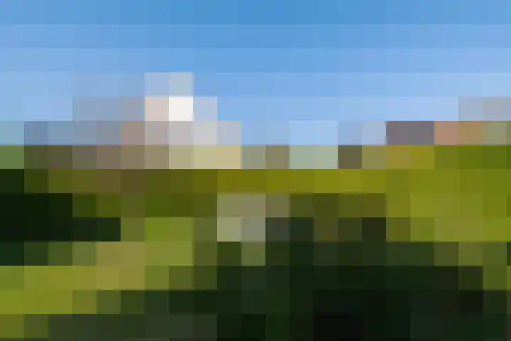 Overburen 6 Zuidbroek thumbnail 34