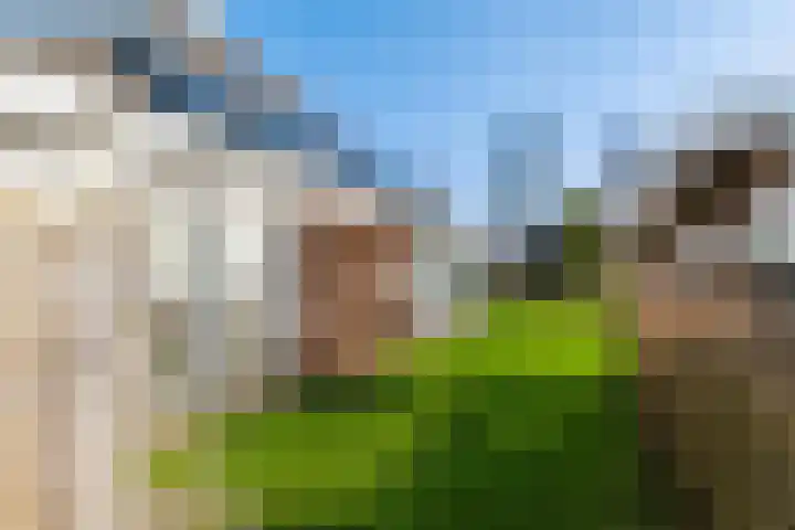 Overburen 6 Zuidbroek thumbnail 35