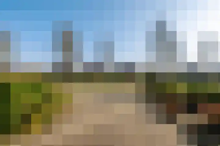 Overburen 6 Zuidbroek thumbnail 37