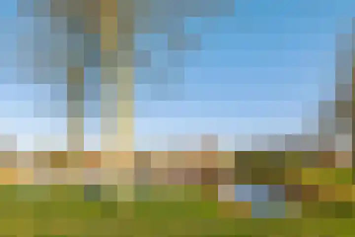 Overburen 6 Zuidbroek thumbnail 38