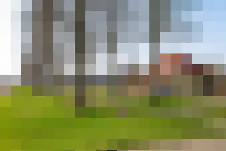 Overburen 6 Zuidbroek thumbnail 39
