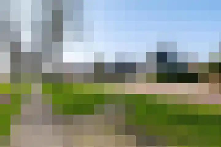 Overburen 6 Zuidbroek thumbnail 6
