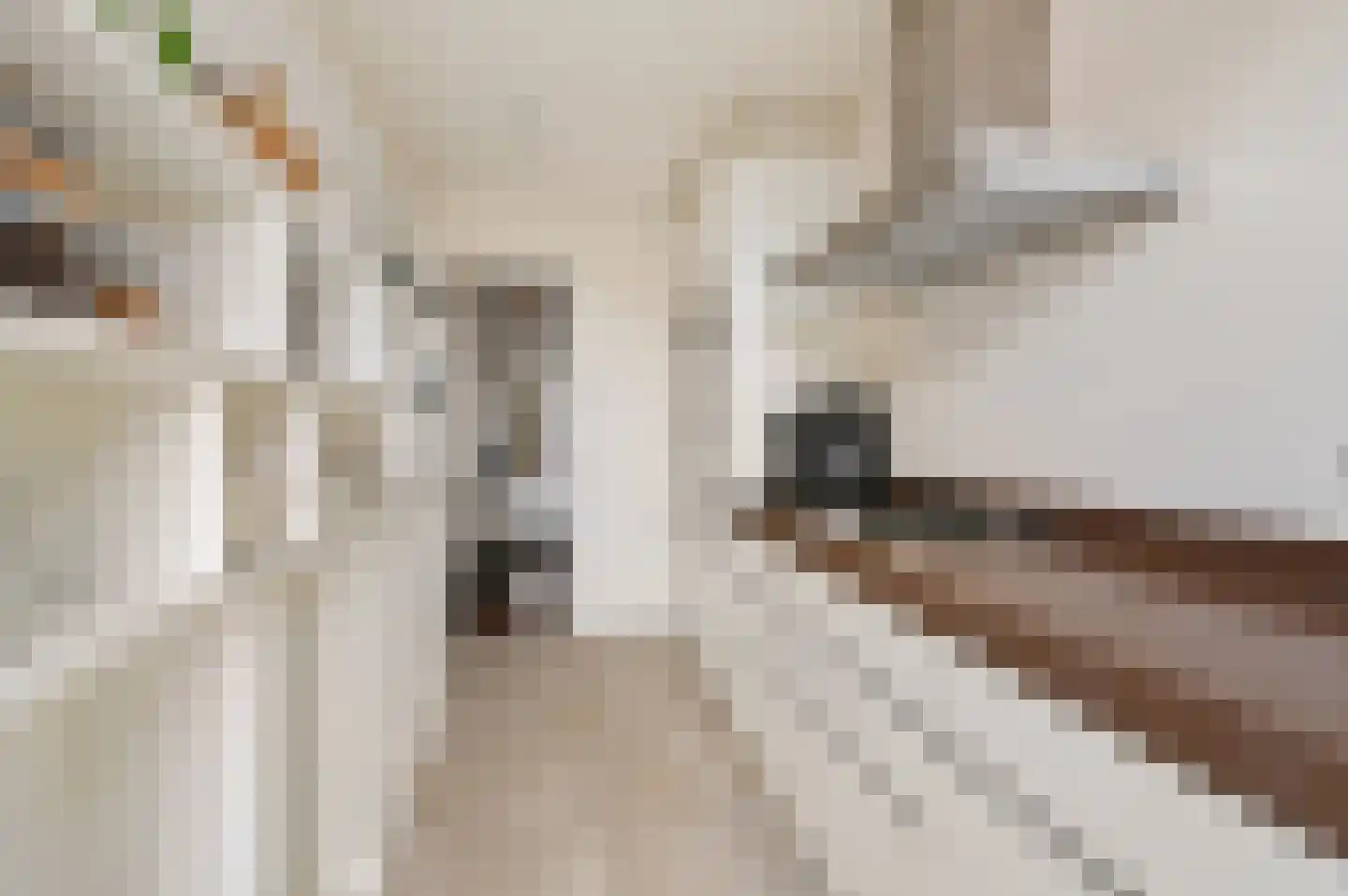Overburgkade 109 Voorburg thumbnail 18