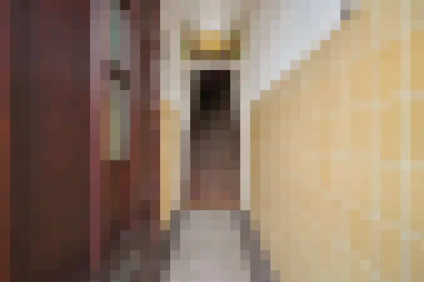 Overburgkade 109 Voorburg thumbnail 6