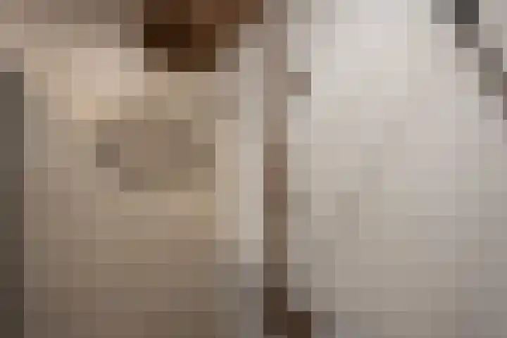 Overburgkade 111 Voorburg thumbnail 19