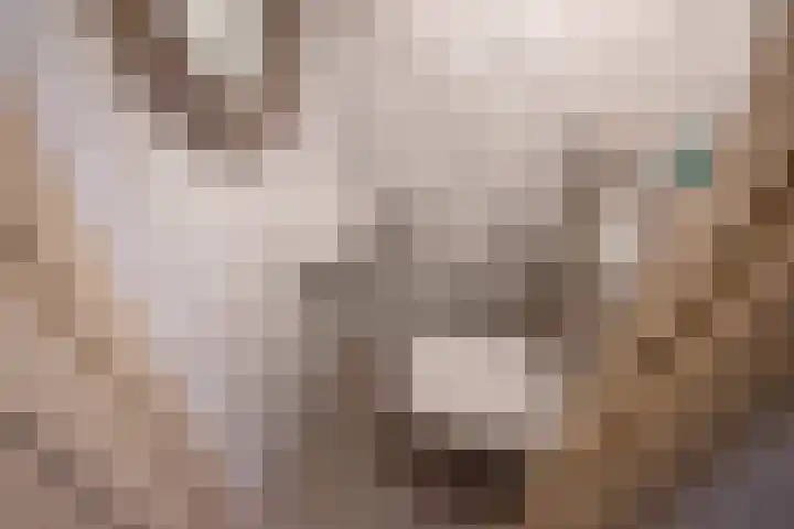 Overburgkade 111 Voorburg thumbnail 20