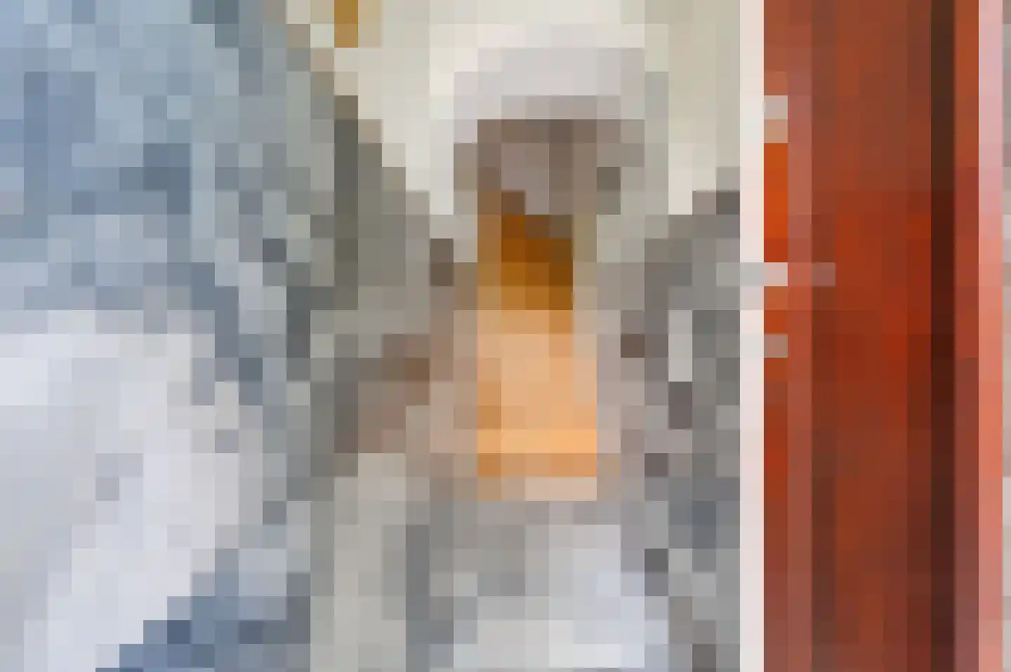 Overburgkade 113 Voorburg thumbnail 4