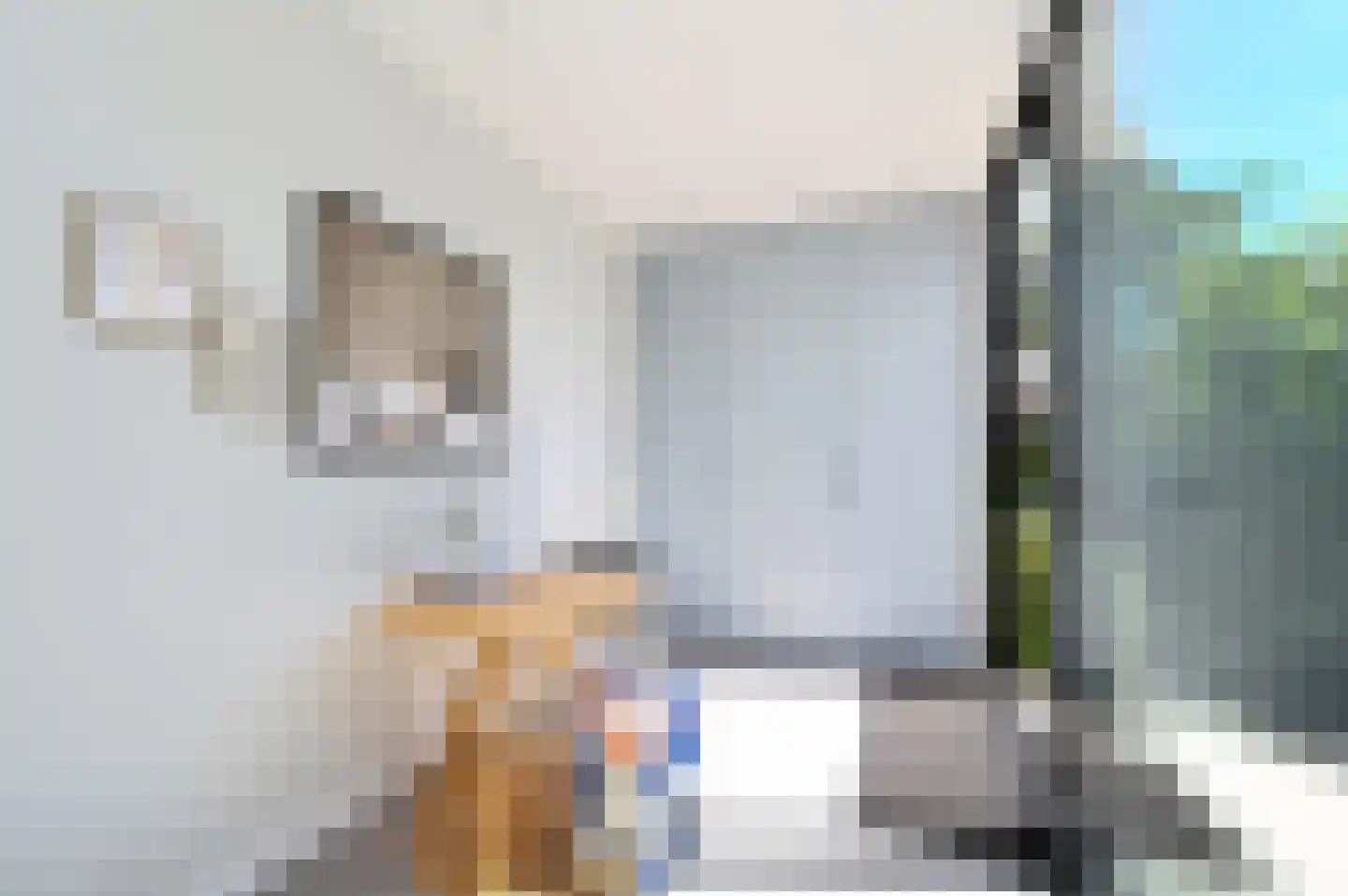 Overburgkade 46 Voorburg thumbnail 24