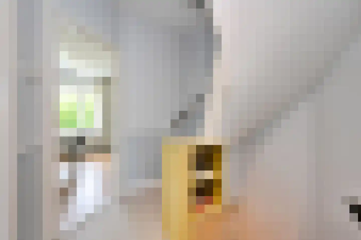 Overburgkade 46 Voorburg thumbnail 39