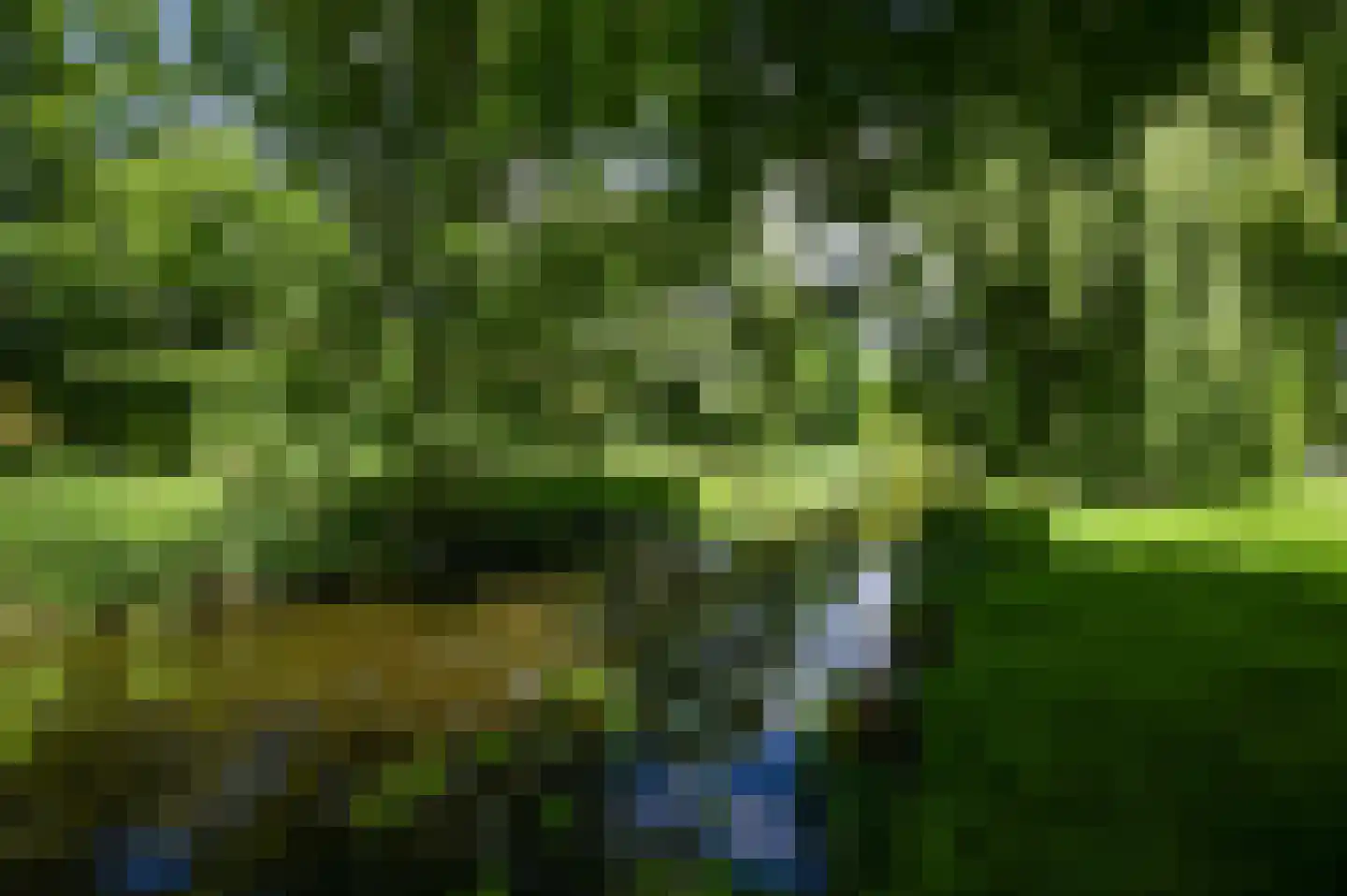 Overburgkade 46 Voorburg thumbnail 65