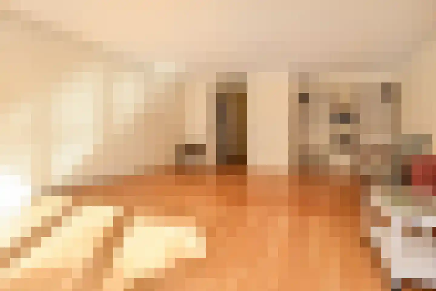 Overburgkade 94 Voorburg thumbnail 14