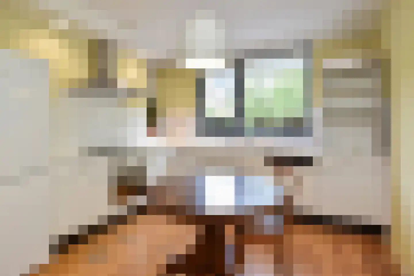 Overburgkade 94 Voorburg thumbnail 15