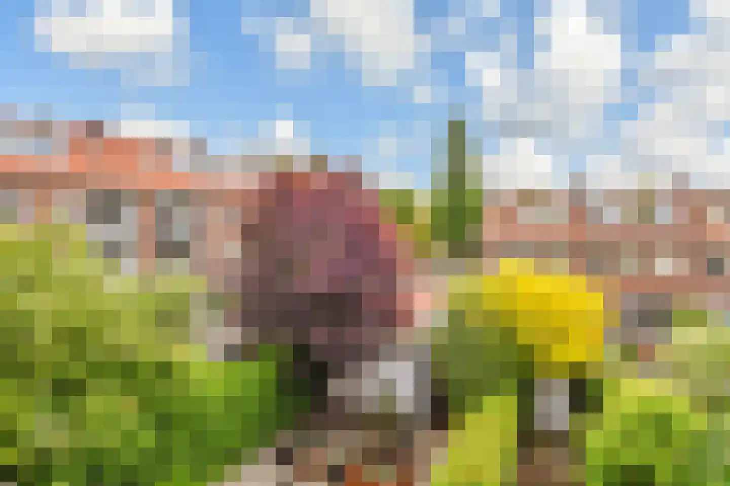 Overburgkade 94 Voorburg thumbnail 34