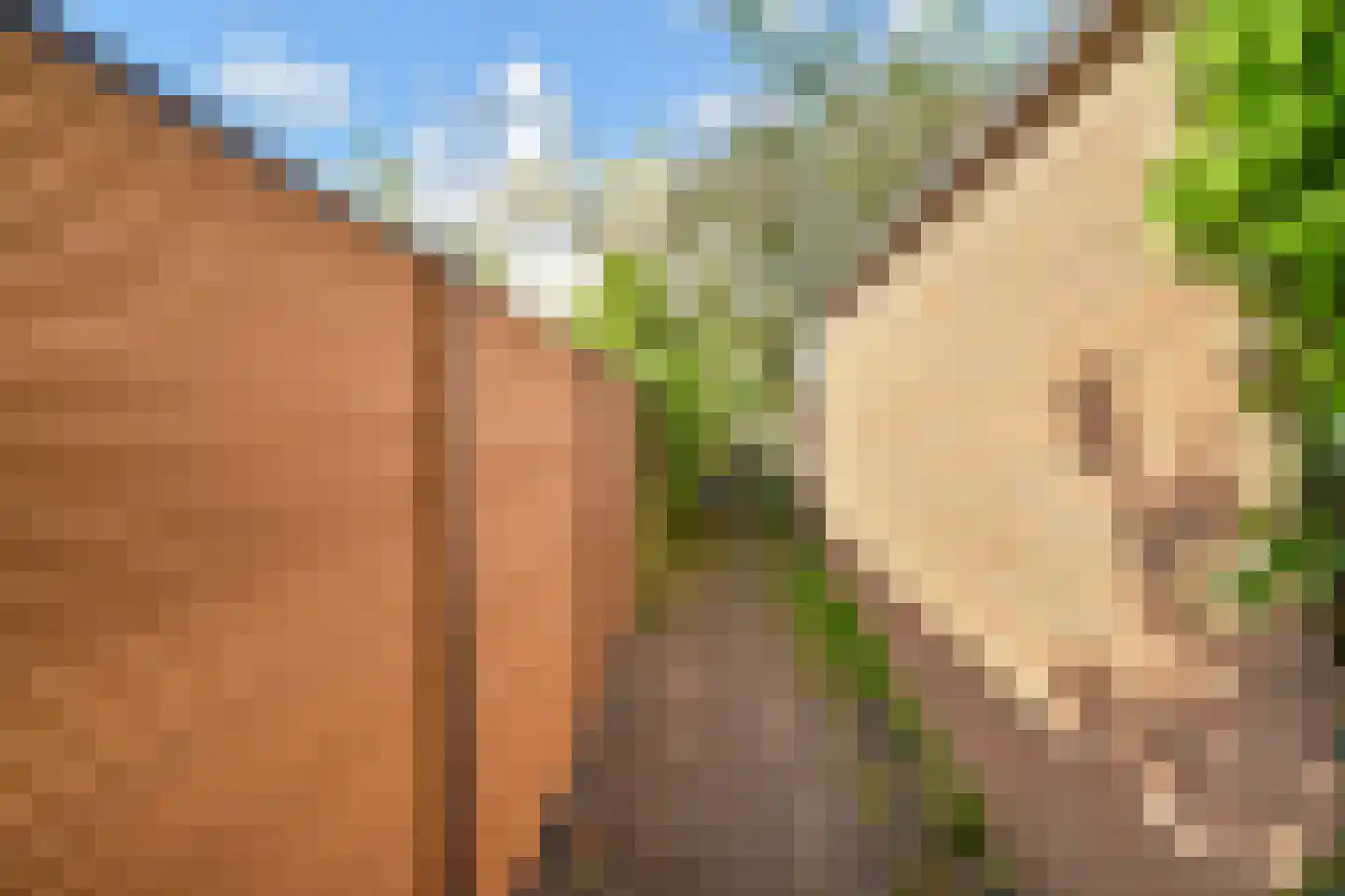 Overburgkade 94 Voorburg thumbnail 38