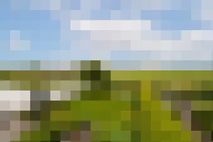 Overbuurt 19 Rijnsaterwoude thumbnail 13