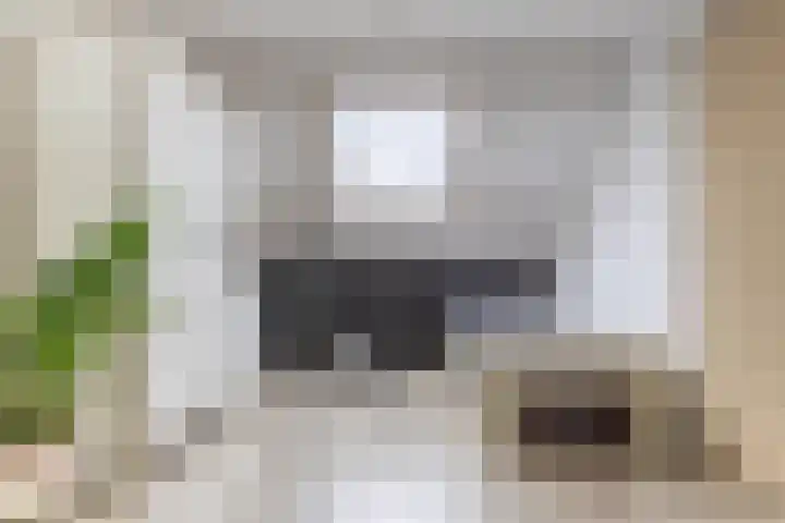 Overbuurt 19 Rijnsaterwoude thumbnail 17