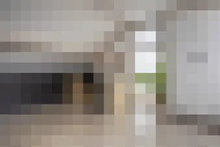 Overbuurt 19 Rijnsaterwoude thumbnail 18