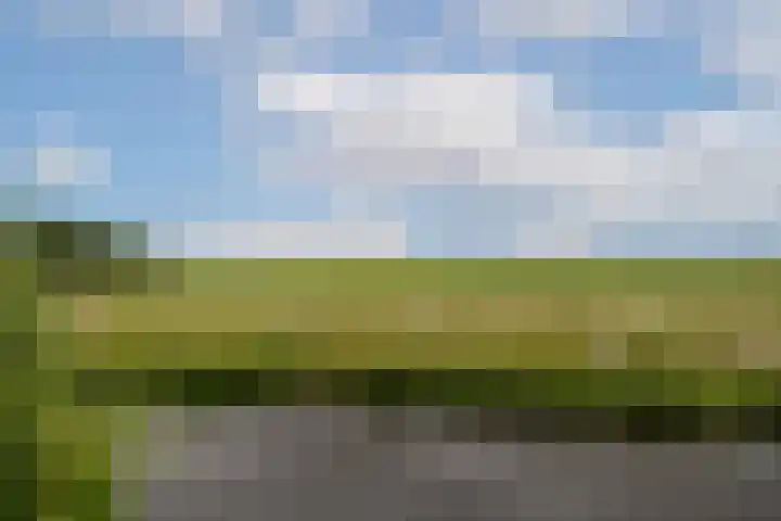 Overbuurt 19 Rijnsaterwoude thumbnail 22