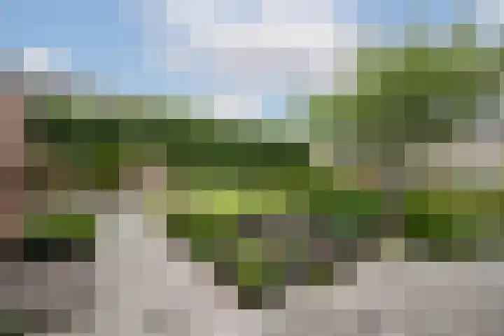 Overbuurt 19 Rijnsaterwoude thumbnail 26