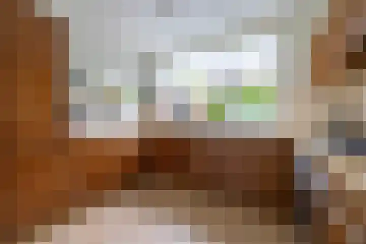 Overbuurt 19 Rijnsaterwoude thumbnail 6