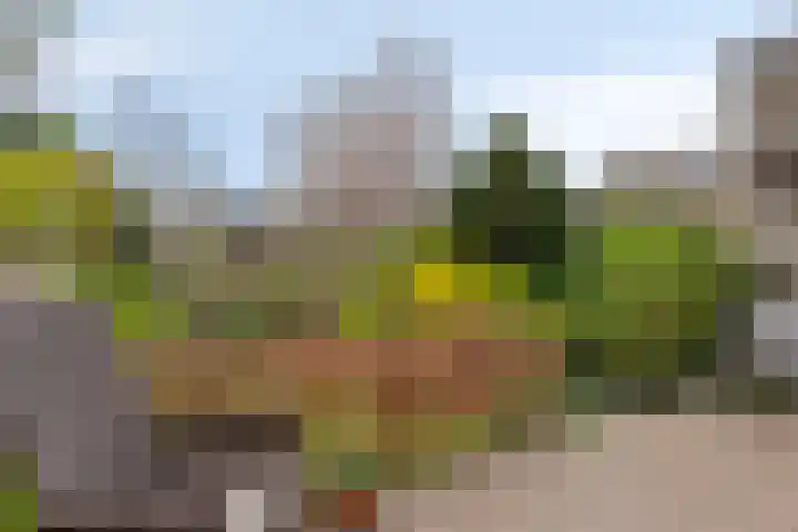 Overbuurt 9 Rijnsaterwoude thumbnail 35