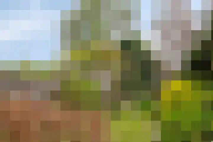 Overbuurt 9 Rijnsaterwoude thumbnail 37