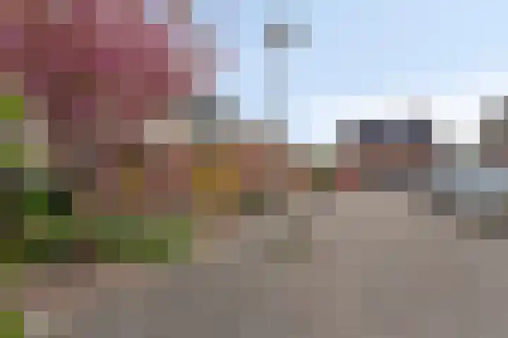 Overbuurt 9 Rijnsaterwoude thumbnail 6