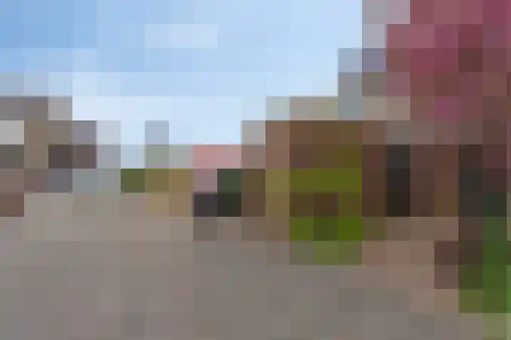 Overbuurt 9 Rijnsaterwoude thumbnail 7