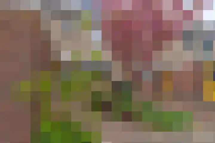Overbuurt 9 Rijnsaterwoude thumbnail 8