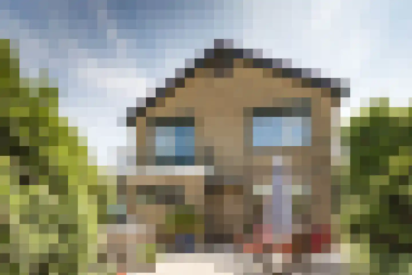 Overbuurtseweg 14 Bleiswijk thumbnail 43