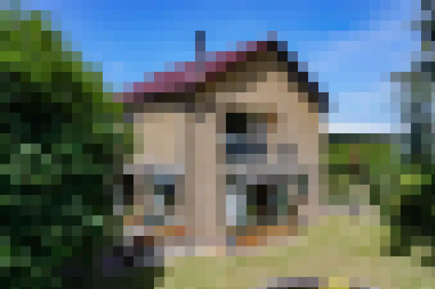Overbuurtseweg 14 Bleiswijk thumbnail 5