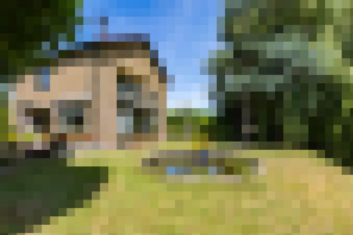 Overbuurtseweg 14 Bleiswijk thumbnail 6