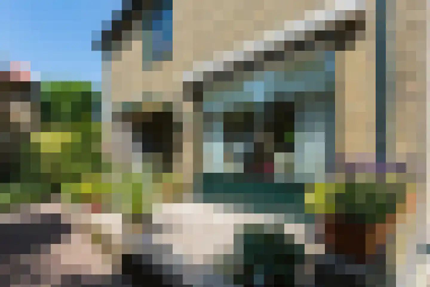 Overbuurtseweg 14 Bleiswijk thumbnail 9