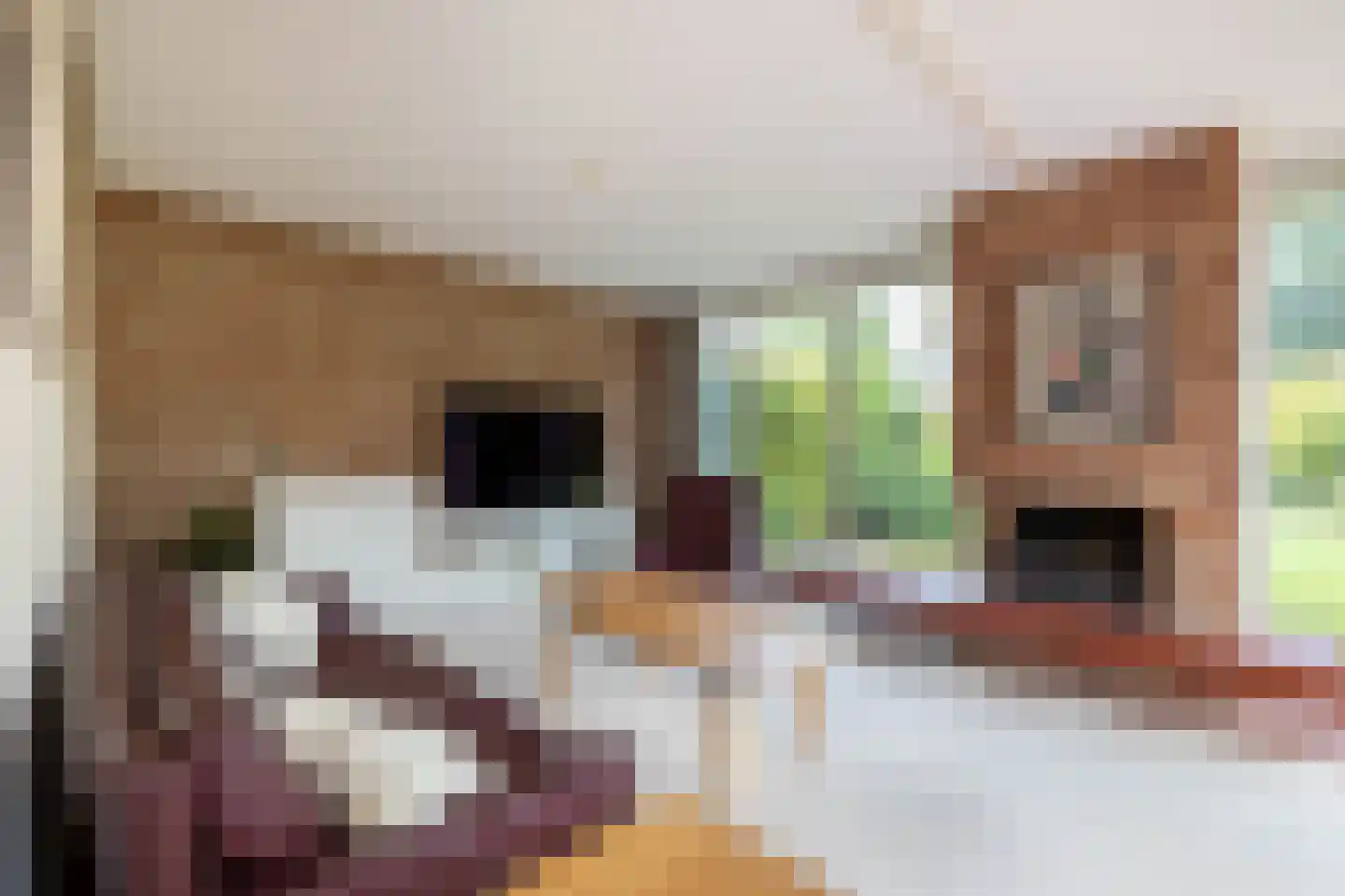 Overcinge 33 Almelo thumbnail 11
