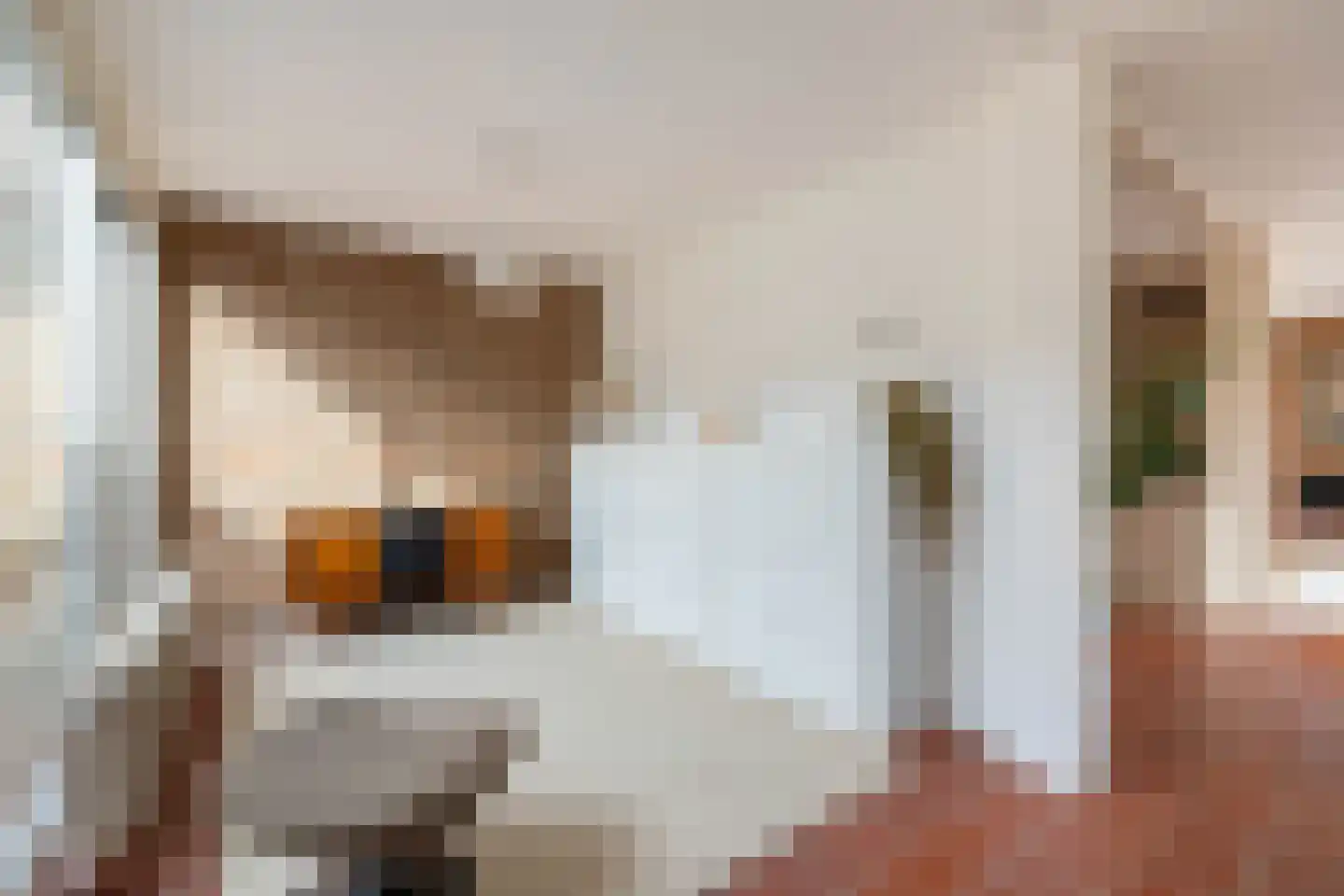 Overcinge 33 Almelo thumbnail 15