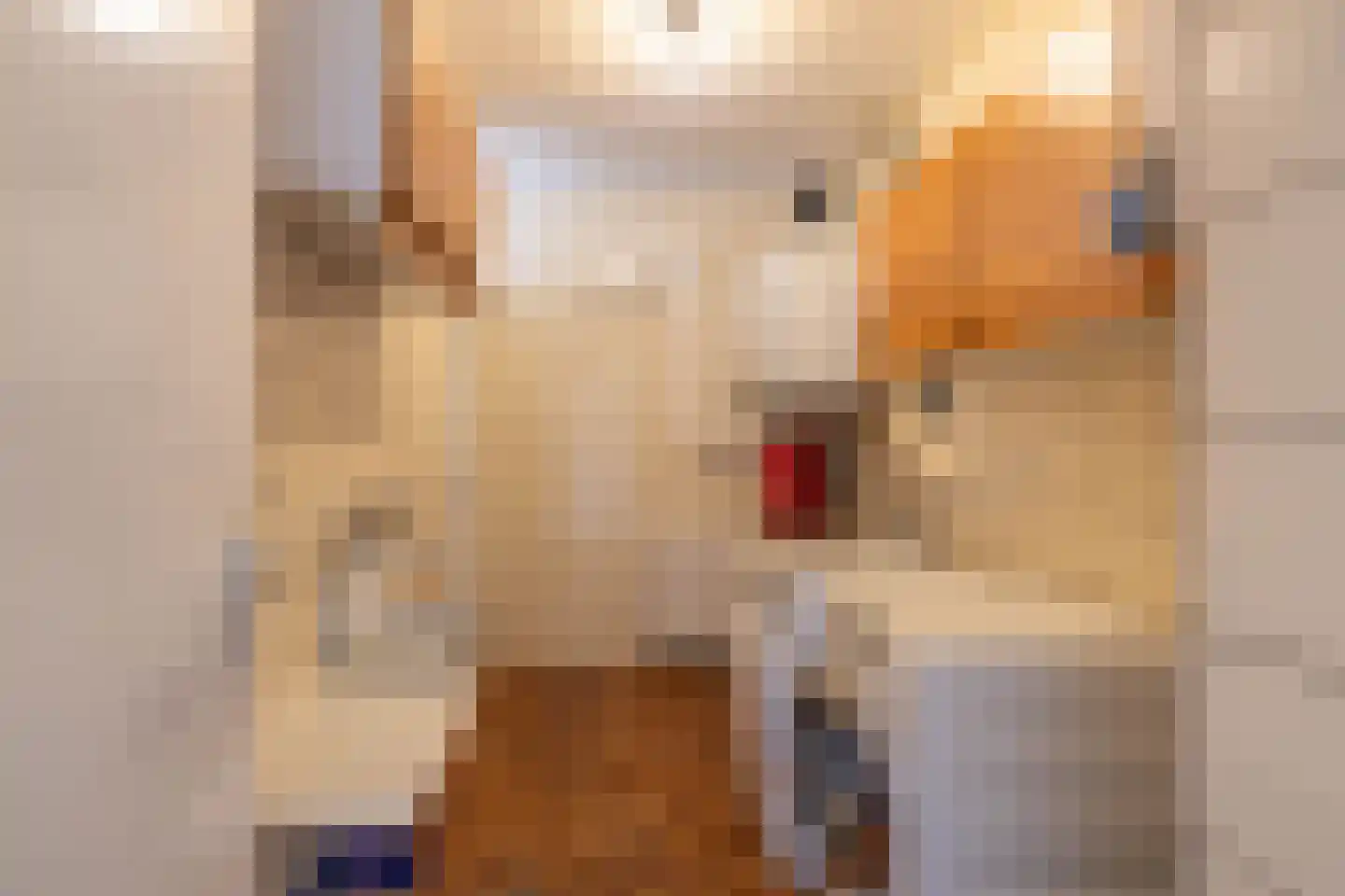 Overcinge 33 Almelo thumbnail 30