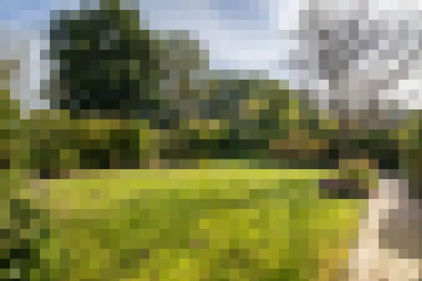 Overcinge 33 Almelo thumbnail 33