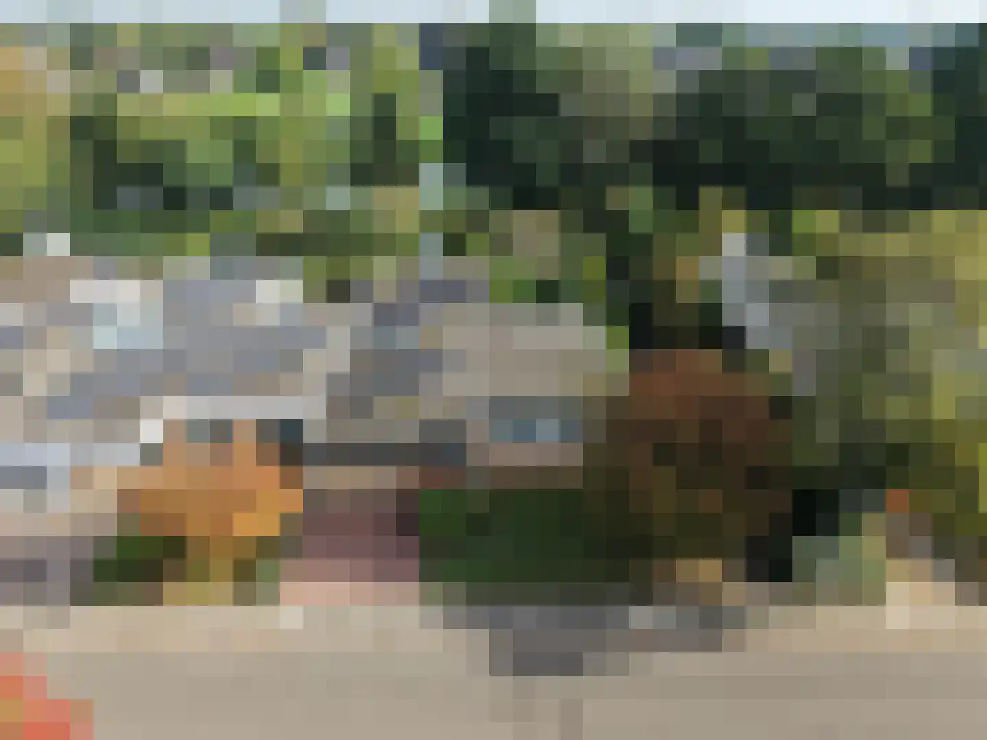 Overcinge 33 Almelo thumbnail 39
