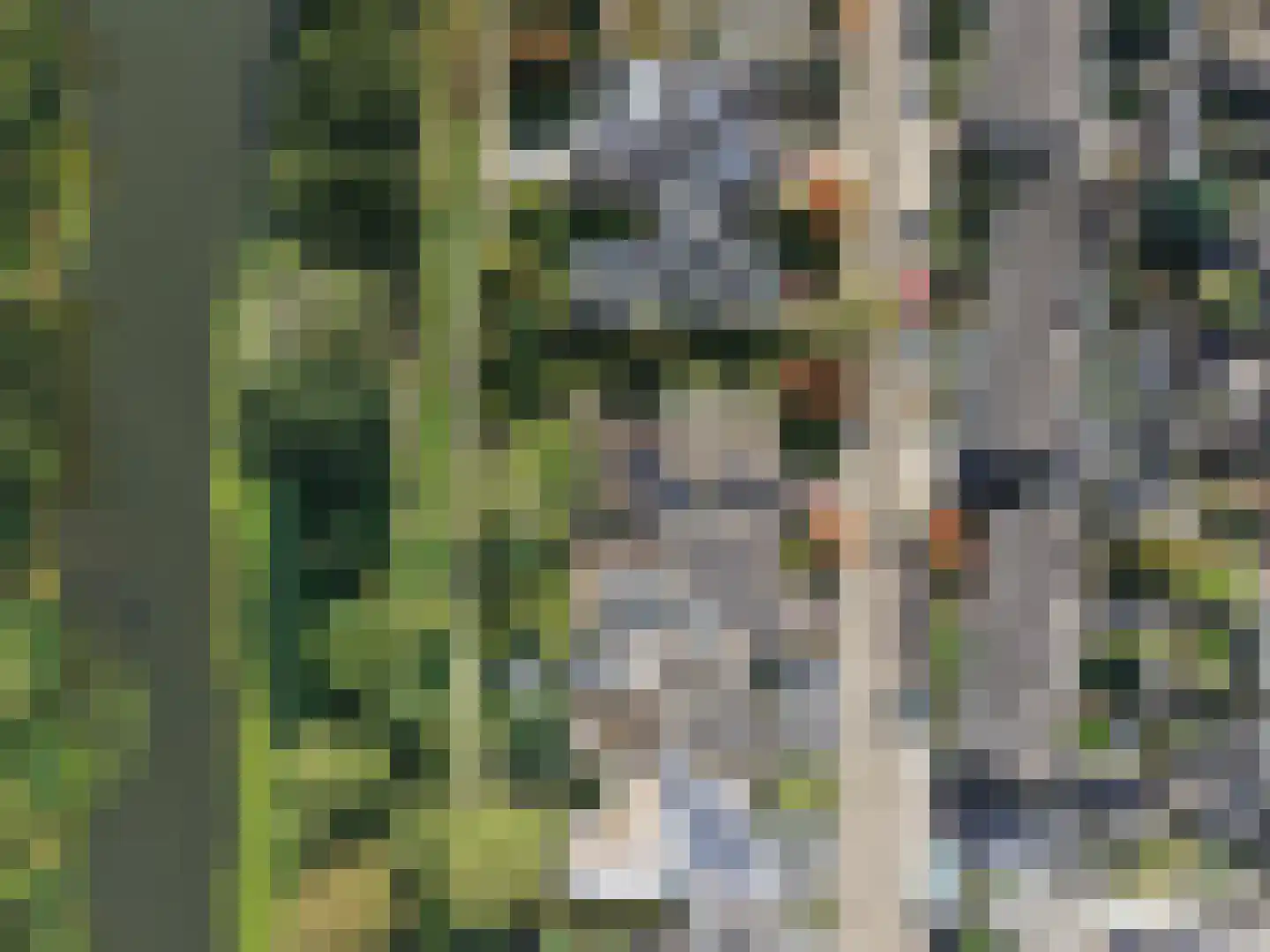 Overcinge 33 Almelo thumbnail 45