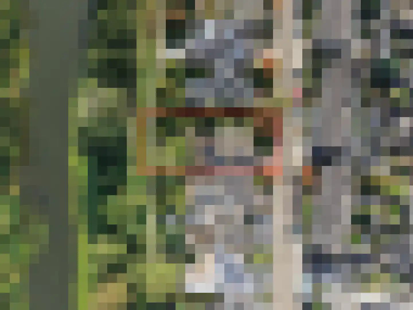 Overcinge 33 Almelo thumbnail 48
