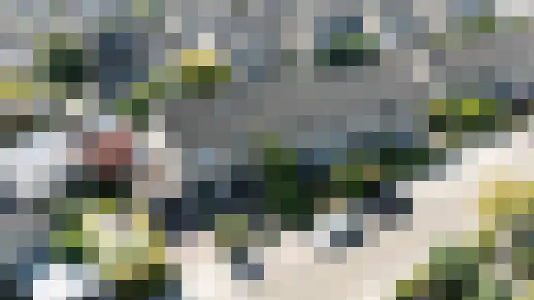 Overcinge 42 Almelo thumbnail 27