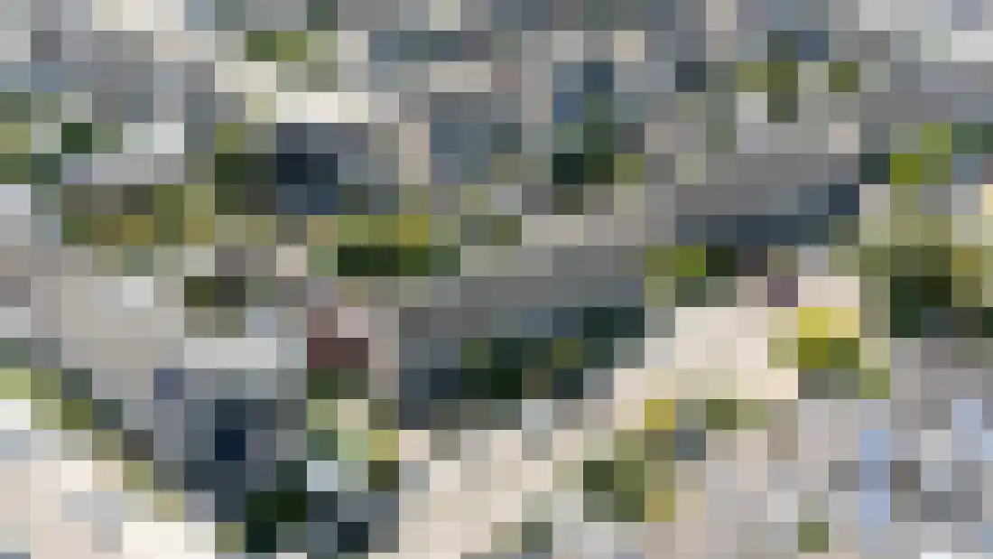 Overcinge 42 Almelo thumbnail 28